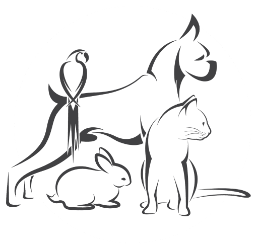 Dog, Cat, Bunny, And Parrot