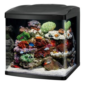 100530107-1-300x300 LED BioCube 32 Aquarium Kit