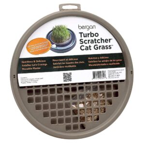 BER-88341-300x300 Turbo Cat Grass