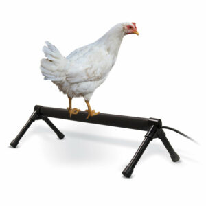 KH2110-1-300x300 Thermo-Chicken Perch