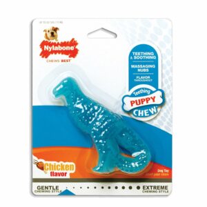 NDD001P-300x300 Nylabone Puppy Chew Dental Dino Chew Dog Toy Regular