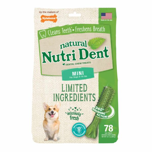 NTD440M78P-600x600 Nylabone Nutri Dent Limited Ingredient Dental Chews Fresh Breath Mini 78 count