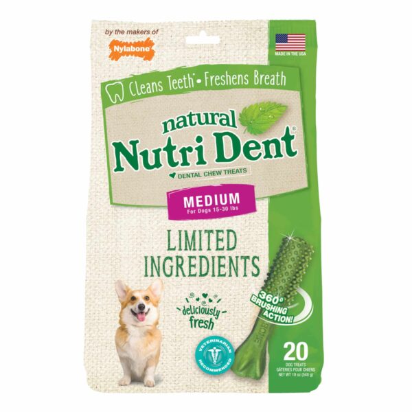 NTD442M20P-600x600 Nylabone Nutri Dent Limited Ingredient Dental Chews Fresh Breath Medium 20 count