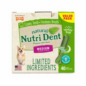 NTD442T40P-300x300 Nylabone Nutri Dent Limited Ingredient Dental Chews Fresh Breath Medium 40 count