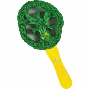 EPAE00985-300x300 Ae Cage Company Nibbles Lollipop Loofah Chew Toy - 1 Count