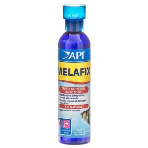 EPAP011H-300x300 Api Melafix Antibacterial Fish Remedy - 8 Oz Bottle (treats 474 Gallons)