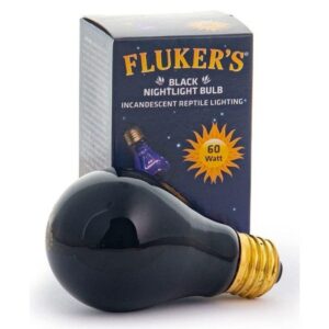 EPFK22701-300x300 Flukers Black Nightlight Incandescent Bulb - 60 Watt