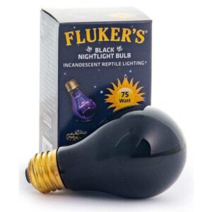 EPFK22702-300x300 Flukers Black Nightlight Incandescent Bulb - 75 Watt