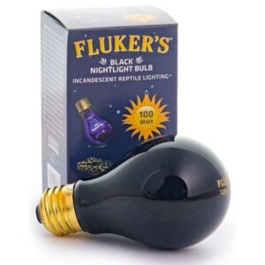 EPFK22703-300x300 Flukers Black Nightlight Incandescent Bulb - 100 Watt