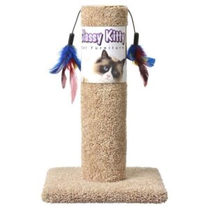 EPNA49002-300x300 Classy Kitty Cat Scratching Post With Feathers - 17.5in. High (assorted Colors)