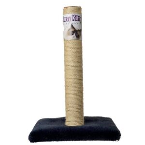 EPNA49015-300x300 Classy Kitty Cat Sisal Scratching Post - 26in. High (assorted Colors)