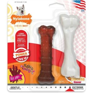 EPU85019-300x300 Nylabone Power Chew Durable Dog Chew Toys Twin Pack Chicken And Jerky Flavor - 2 Count