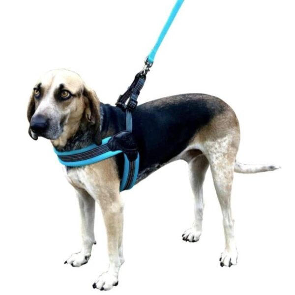 sporn-easy-fit-dog-harness-blue
