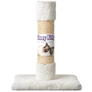 epna49003-300x300 Classy Kitty Cat Decorator Scratching Post - Carpet & Sisal - 20in. High (assorted Colors)