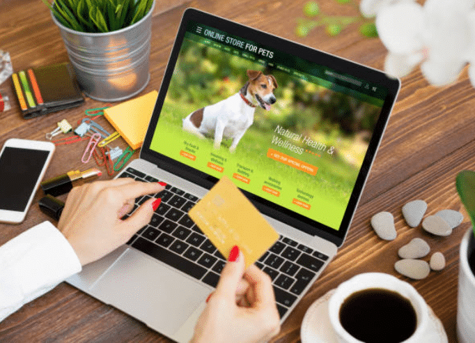 buy-pet-food-online Why Tiny Dog LLC is Your Best Buddy for Online Pet Food Shopping