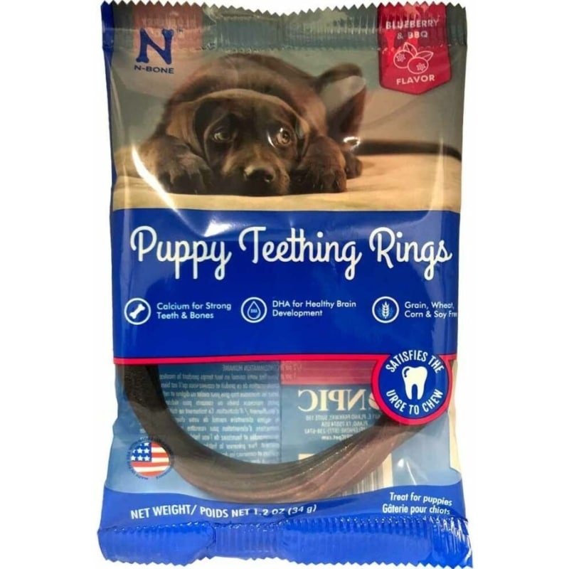 n-bone-puppy-teething-ring-blueberry-flavor Celebrating National Puppy Day: A Furry Tale of Love and Joy