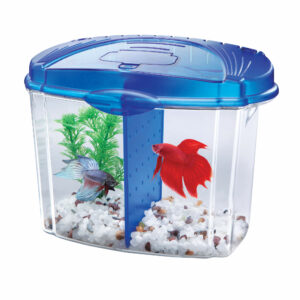 100101206-300x300 Betta Bowl Aquarium Kit