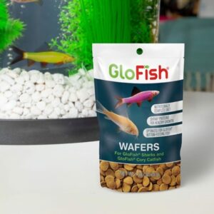 715257e21fbd61f97dea8a45bc657dd4-300x300 GloFish Cory Wafers Fish Food for GloFish Sharks and Cory Catfish / 6.32 oz (4 x 1.58 oz) GloFish Cory Wafers Fish Food for GloFish Sharks and Cory Catfish