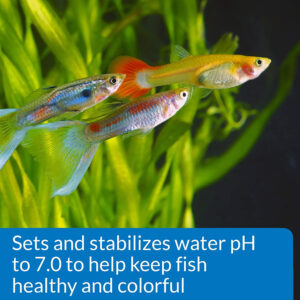 ap036c__6-300x300 API Proper pH Sets and Stabilizes Freshwater Aquariums / pH 7.0 - 1 count API Proper pH Sets and Stabilizes Freshwater Aquariums