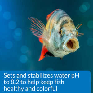 ap039c__6-300x300 API Proper pH Sets and Stabilizes Freshwater Aquariums / pH 8.2 - 1 count API Proper pH Sets and Stabilizes Freshwater Aquariums