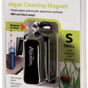 au06170__1-300x300 Aqueon Algae Cleaning Magnet / Small - 1 count Aqueon Algae Cleaning Magnet