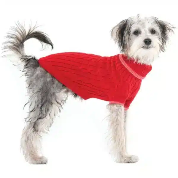 discount-dog-clothes Billing Terms and Conditions