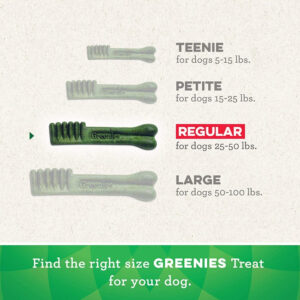 gr10104n__3-300x300 Greenies Regular Dental Dog Treats / 72 count (2 x 36 ct) Greenies Regular Dental Dog Treats