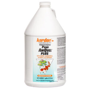 k32021__1-300x300 Kordon Pond AmQuel Plus Detoxifies Ammonia Nitrite and Nitrate Concentrated Water Conditioner / 1 gallon Kordon Pond AmQuel Plus Detoxifies Ammonia Nitrite and Nitrate Concentrated Water Conditioner