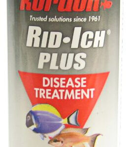 k37644__1-264x300 Kordon Rid-Ich Plus Aquarium Fish Disease Treatment / 4 oz Kordon Rid-Ich Plus Aquarium Fish Disease Treatment