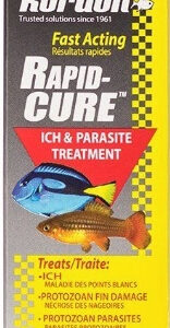 k37914__1-156x300 Kordon Rapid Cure Ich and Parasite Treatment / 4 oz Kordon Rapid Cure Ich and Parasite Treatment