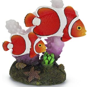 pp07841__1-300x300 Penn Plax Clown Fish and Coral Aquarium Ornament / 1 count Penn Plax Clown Fish and Coral Aquarium Ornament