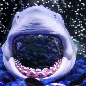 pp10329__8-300x300 Penn Plax Jaws Open Mouth Swim Through Aquarium Ornament / 1 count Penn Plax Jaws Open Mouth Swim Through Aquarium Ornament