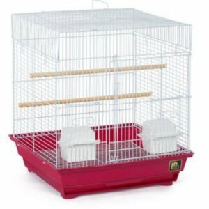 pv21614__4-300x300 Prevue Square Top Bird Cage Assorted Colors / Small - 1 count Prevue Square Top Bird Cage Assorted Colors