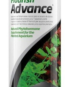 sc12360p__1-242x300 Seachem Flourish Advance Growth Enhancer for Live Aquarium Plants / 1250 mL (5 x 250 mL) Seachem Flourish Advance Growth Enhancer for Live Aquarium Plants
