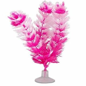 xa12083__1-300x300 Marina Betta Foxtail Hot Pink/White Plastic Plant / 5.4" tall Marina Betta Foxtail Hot Pink/White Plastic Plant