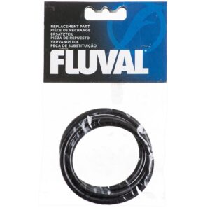 xa20063__1-300x300 Fluval Canister Filter Motor Seal Ring / 1 count Fluval Canister Filter Motor Seal Ring