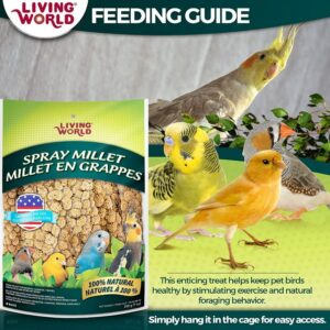 xb2472p__6-300x300 Living World Spray Millet for Birds / 126 oz (18 x 7 oz) Living World Spray Millet for Birds