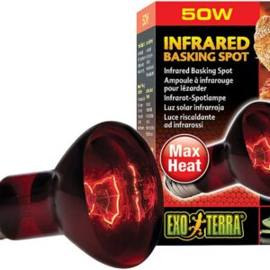 xpt2141__3-300x300 Exo Terra Heat Glo Infrared Heat Lamp / 50 watt Exo Terra Heat Glo Infrared Heat Lamp