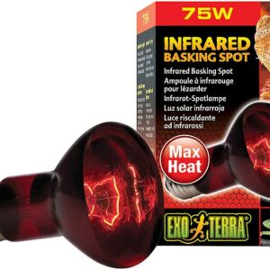 xpt2142__3-300x300 Exo Terra Heat Glo Infrared Heat Lamp / 75 watt Exo Terra Heat Glo Infrared Heat Lamp