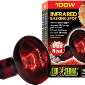 xpt2144__3-300x300 Exo Terra Heat Glo Infrared Heat Lamp / 100 watt Exo Terra Heat Glo Infrared Heat Lamp