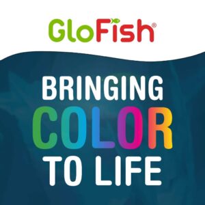 yt78443__9-300x300 GloFish Cory Wafers Fish Food for GloFish Sharks and Cory Catfish / 1.58 oz GloFish Cory Wafers Fish Food for GloFish Sharks and Cory Catfish