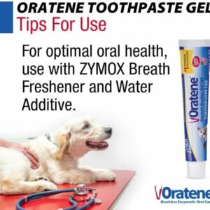zy50250__6-300x300 Zymox Oratene Enzymatic Brushless Toothpaste Gel for Dogs and Cats (2.5 oz)