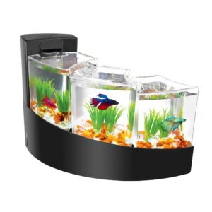 100101218-300x300 Betta Falls Aquarium Kit