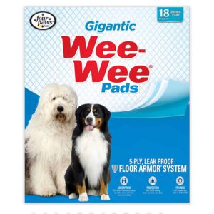 100202102-300x300 Flea and Tick Control for Dogs 10-22 lbs 4 Month Supply