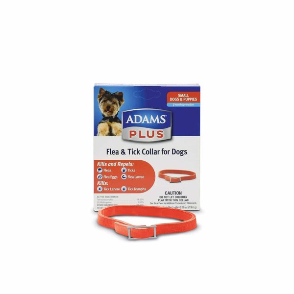 100519504-600x600 Flea and Tick Collar for Small Dogs