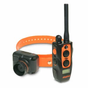 2700tb-300x300 Dogtra Training and Beeper 1 Mile Dog Remote Trainer