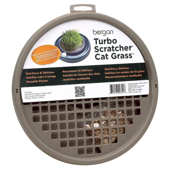ber-88341-600x600 Turbo Cat Grass