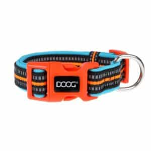 colbeet-l-300x300 Neoprene Dog Collar Beethoven Neon - L
