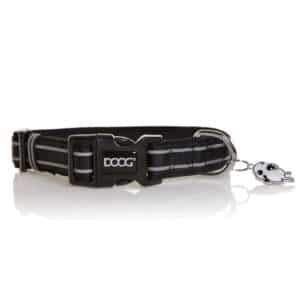 colbfl-l-300x300 Neoprene Dog Collar Lassie - L