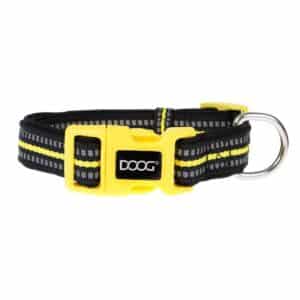 Neoprene Dog Collar Bolt Neon